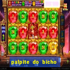 palpite do bicho deu no poste