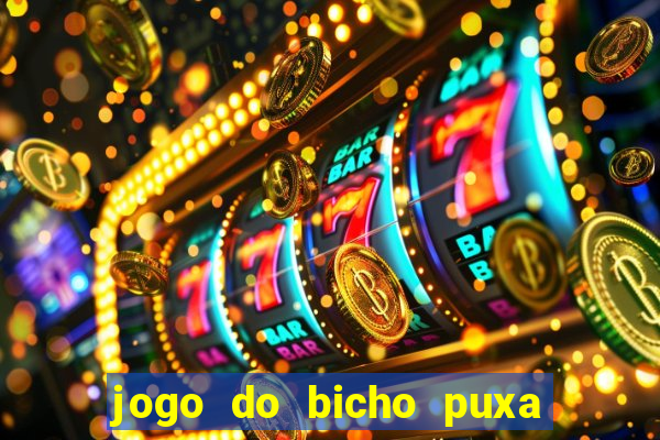 jogo do bicho puxa de dona maria