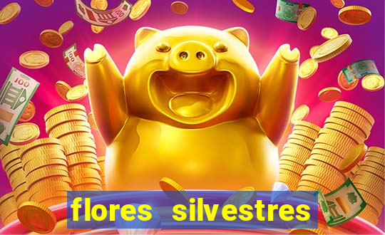 flores silvestres desbravadores desbravadores 25 flores silvestres e seus nomes