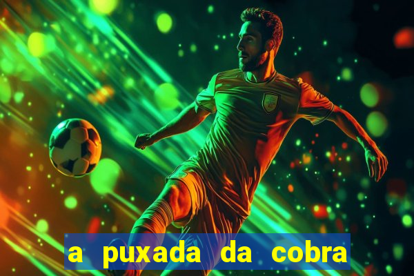 a puxada da cobra no jogo do bicho