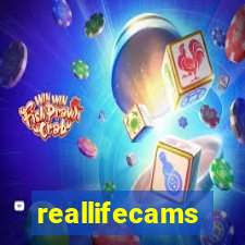 reallifecams