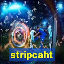 stripcaht